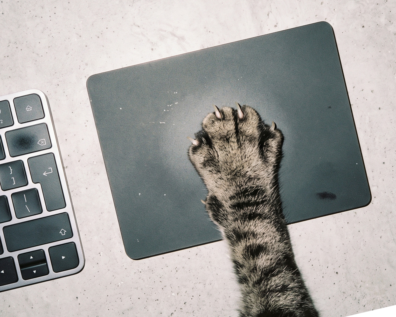 Keyboard + trackpad gif